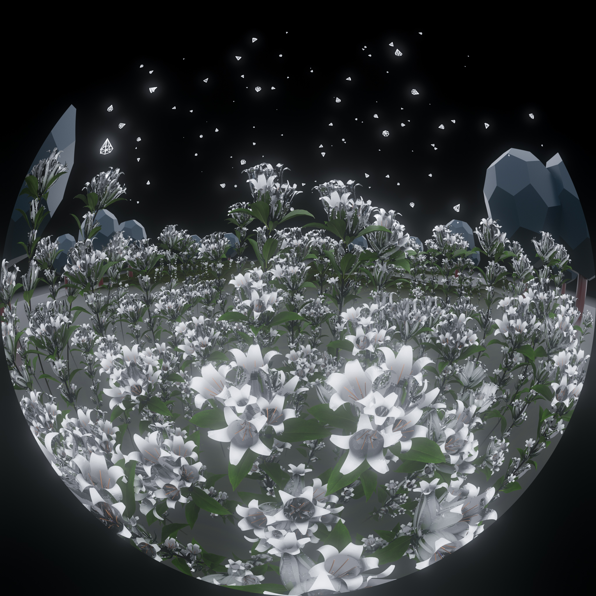 toulavi peephole artwork